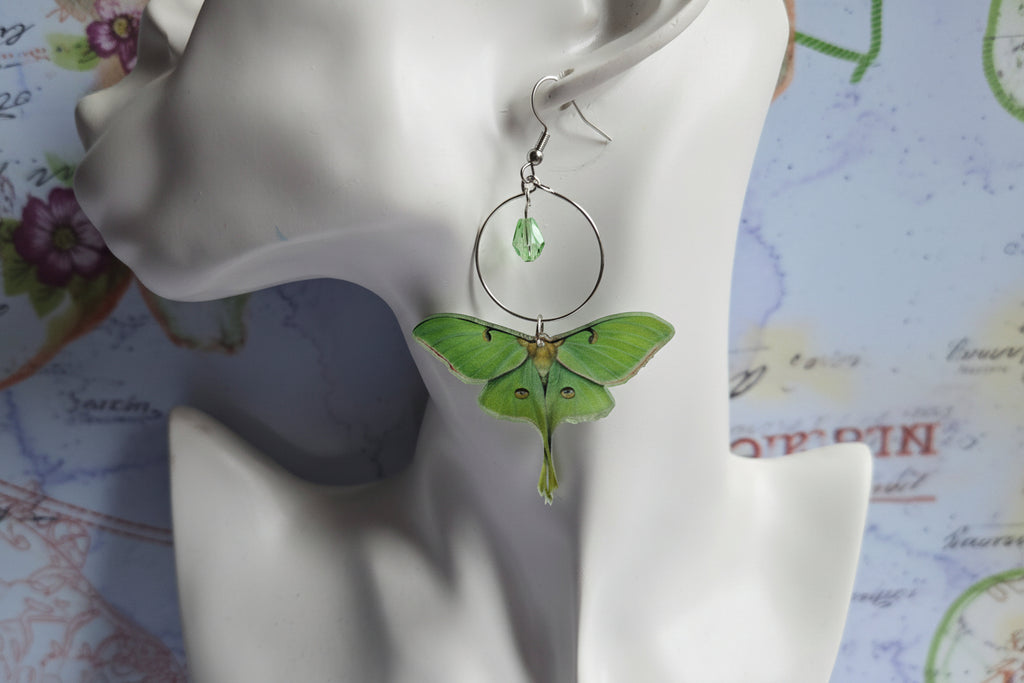 Luna Moth earrings