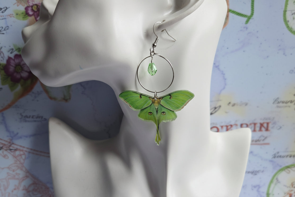 Luna Moth earrings