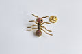 Ant brooch
