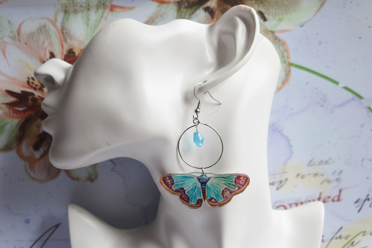 Moth earrings