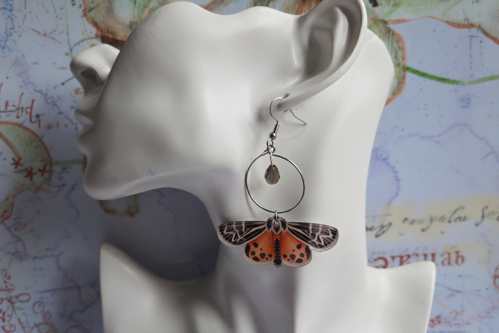 Moth earrings