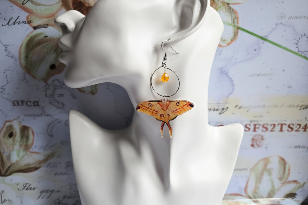 Moth earrings