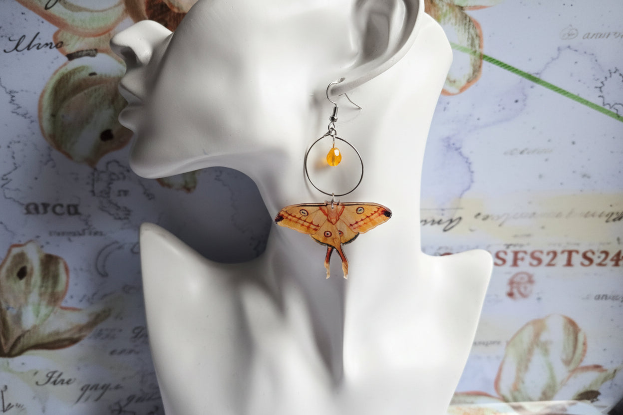 Moth earrings