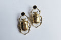 Beetle Earrings